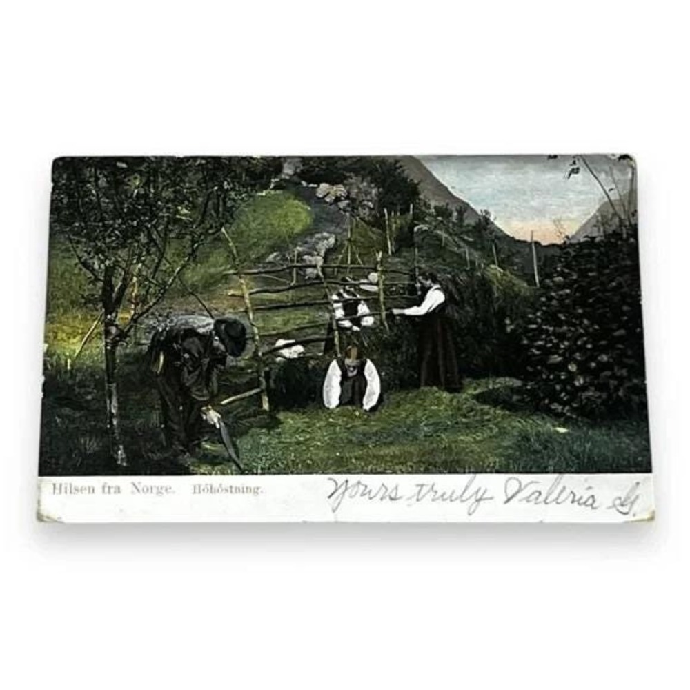 Postcard Hilsen fra Norge Hohostning Norway Divided Back Card C239
